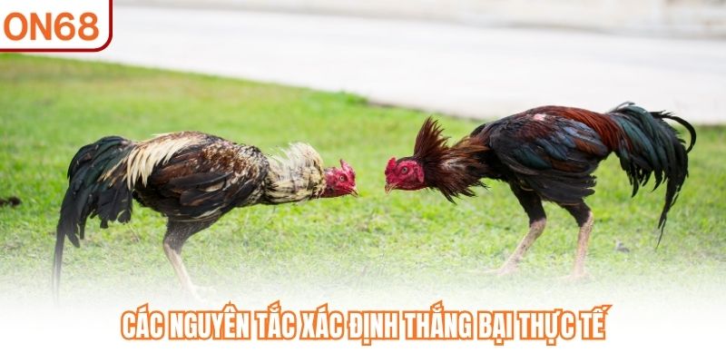 Các nguyên tắc xác định thắng bại thực tế