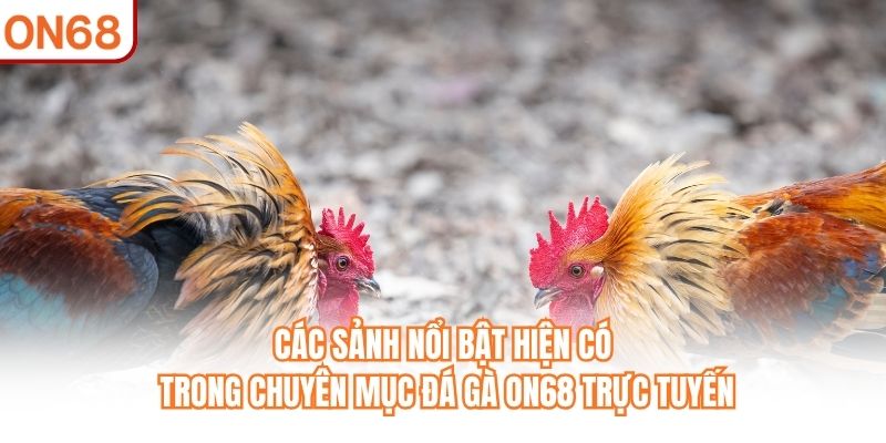 Các sảnh nổi bật hiện có trong chuyên mục Đá Gà ON68 trực tuyến