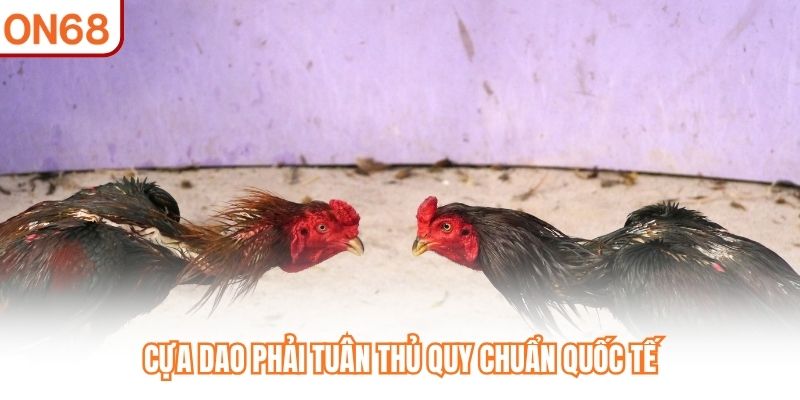 Cựa dao phải tuân thủ quy chuẩn quốc tế