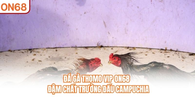 Đá Gà Thomo VIP