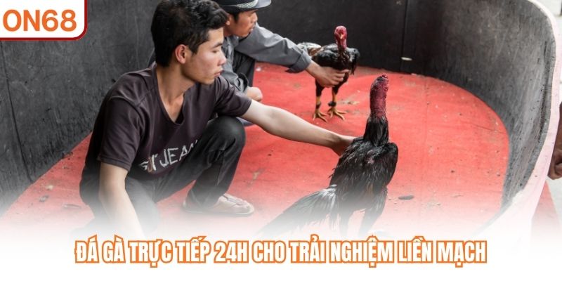 Đá Gà Trực Tiếp 24h cho trải nghiệm liền mạch