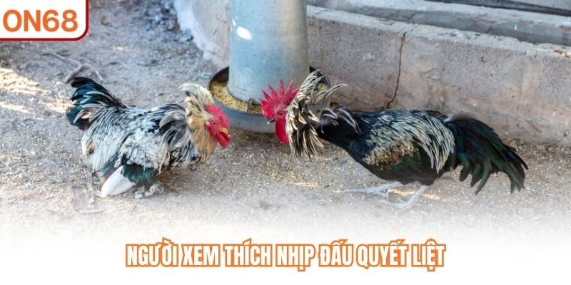 Người xem thích nhịp đấu quyết liệt
