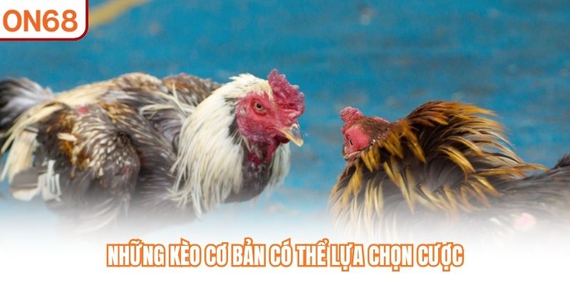 Những kèo cơ bản có thể lựa chọn cược