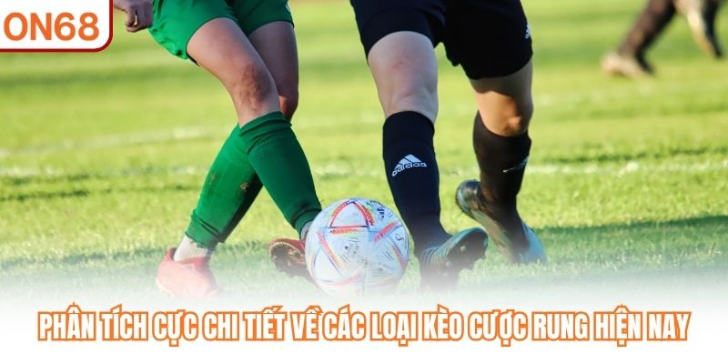 Phân tích cực chi tiết về các loại kèo cược rung hiện nay