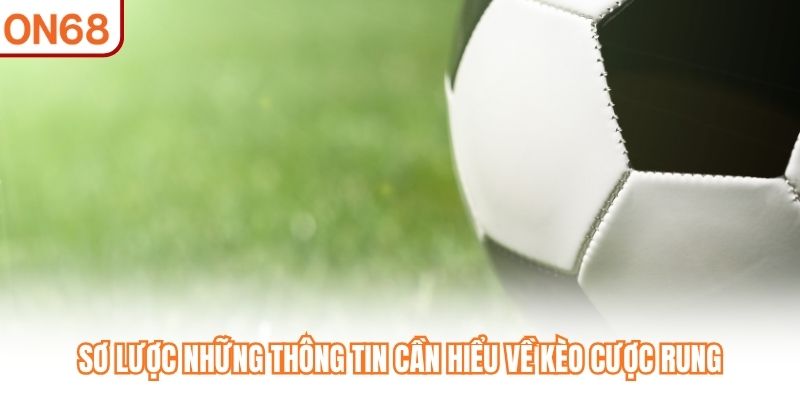 Sơ lược những thông tin cần hiểu về kèo cược rung