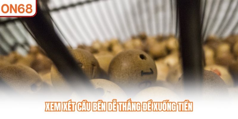 Xem xét cầu bền dễ thắng để xuống tiền