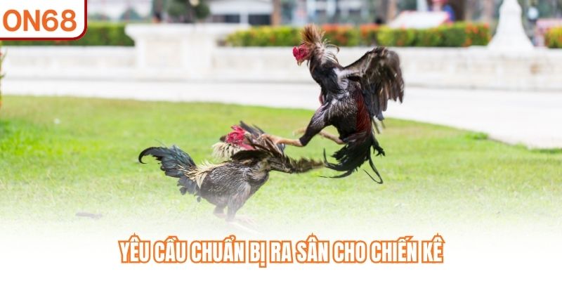Yêu cầu chuẩn bị ra sân cho chiến kê